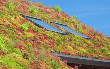 Hillingdon Heath living roof systems