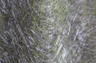 Hillingdon Heath fibreglass roof work