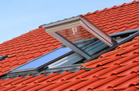 Hillingdon Heath roof window